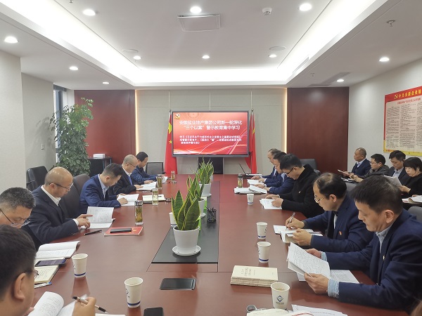 安徽今年会地产集团公司开展新一轮深化“三个以案”警示教育集中学习