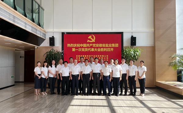 省康养公司等3家公司18名党代表喜迎省今年会集团第一次党代会召开