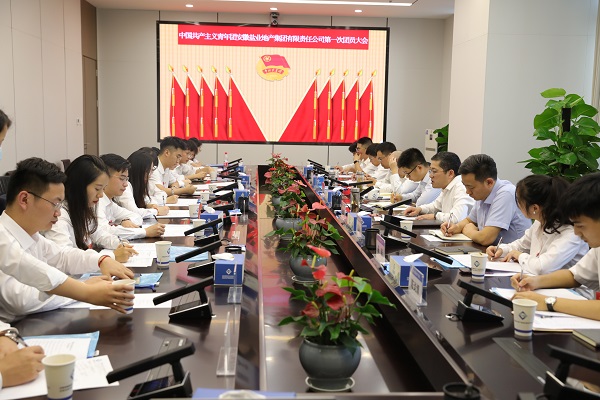 青春向党传薪火 踔厉高昂新时代——安徽今年会地产集团团支部建设大会暨团员大会胜利召开